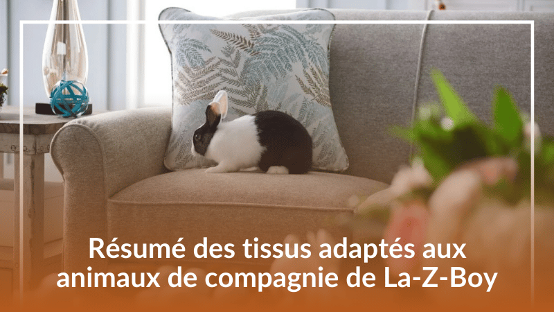 Résumé des tissus adaptés aux animaux de compagnie de La-Z-Boy