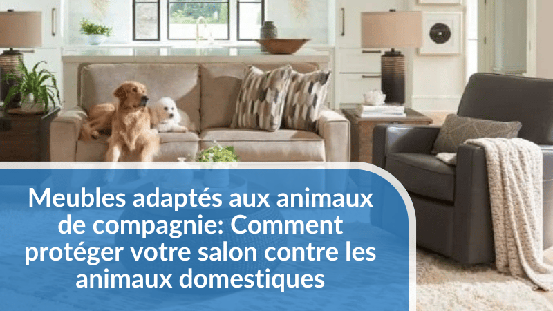 Meubles adaptés aux animaux de compagnie : Comment protéger votre salon contre les animaux domestiques