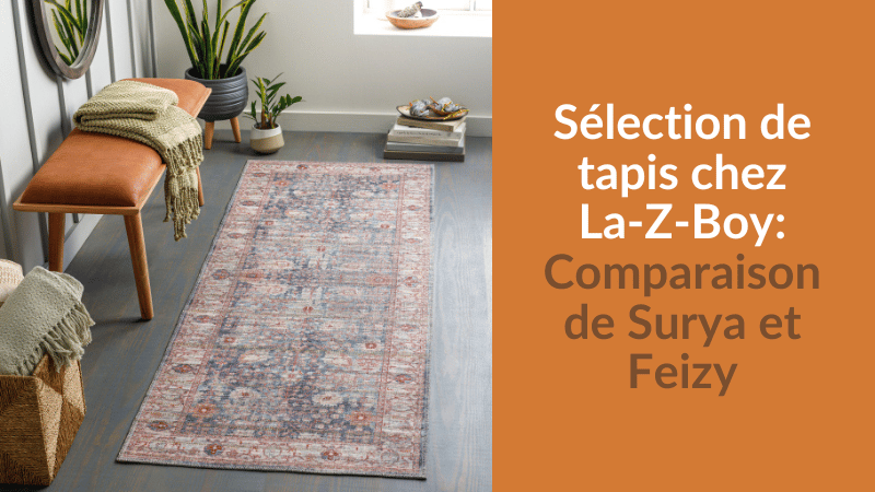 Sélection de tapis chez La-Z-Boy : Comparaison de Surya et Feizy