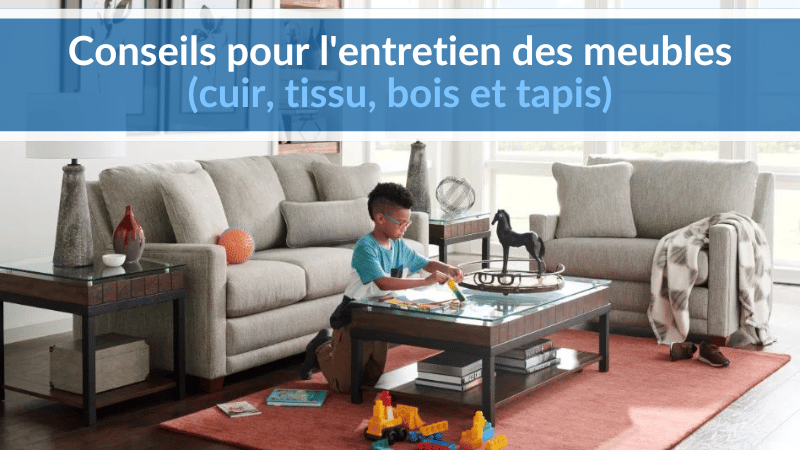 Conseils pour l'entretien des meubles (cuir, tissu, bois et tapis)