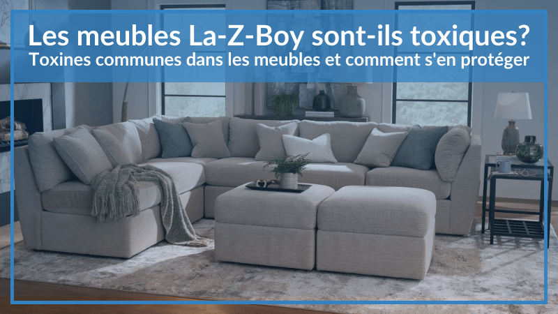 Les meubles La-Z-Boy sont-ils toxiques ? Toxines communes dans les meubles et comment s'en protéger