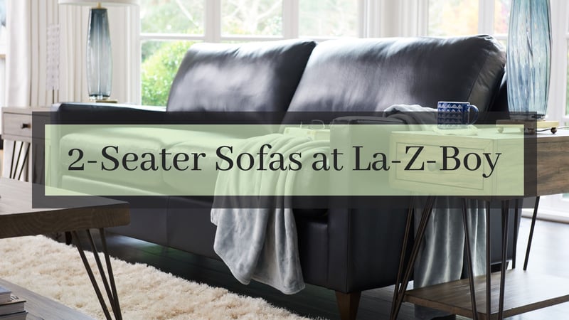 Furniture Basics: What Is a 2-Seater Sofa?