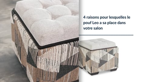 Pourquoi commander le pouf Leo