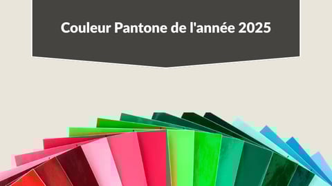 Couleur Pantone de l'année 2024