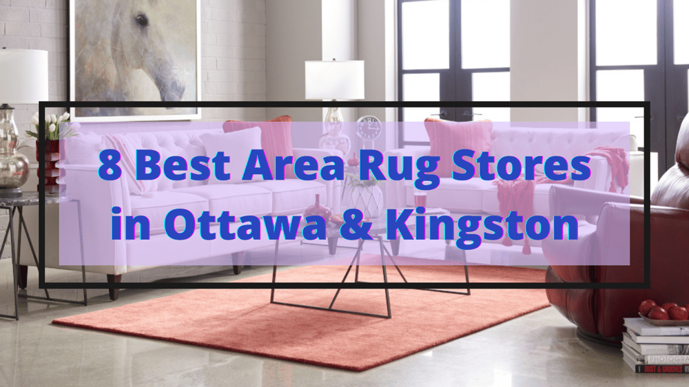 Best Area Rug Stores Featured Image