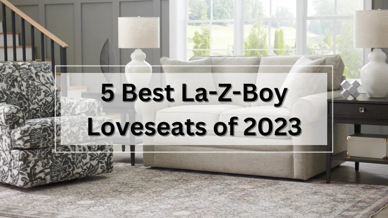 The 5 Best La-Z-Boy Stationary and Reclining Loveseats in 2023 - Ottawa & Kingston