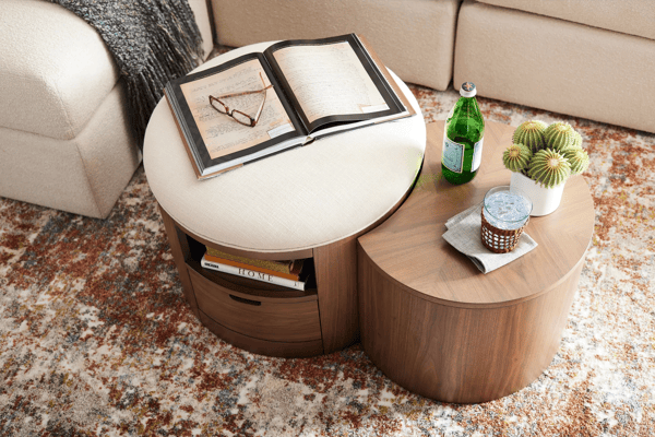 Modern Organic Living Room