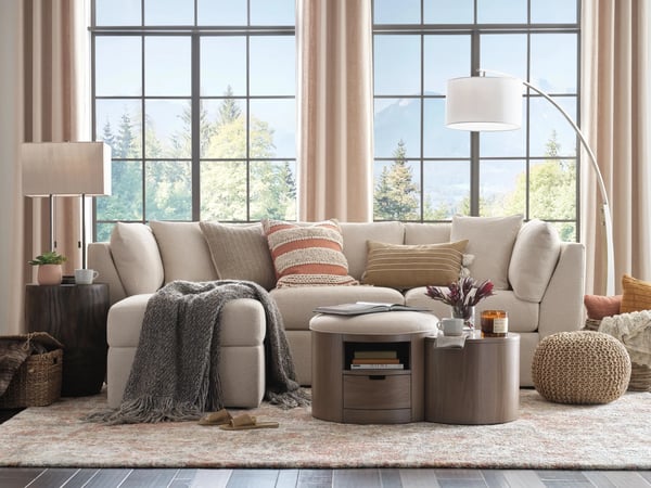 Modern Organic Living Room
