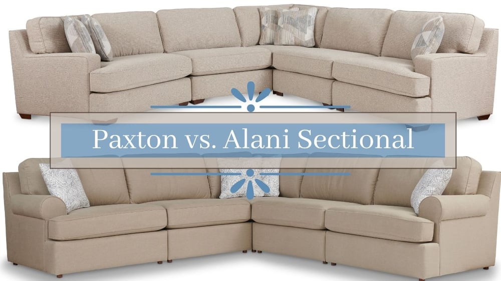 Paxton vs. Alani Featured Image