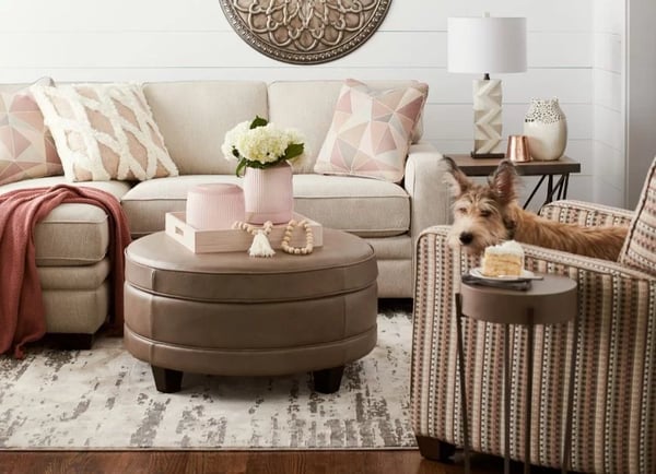 La-Z-Boy_leather_ottoman_living-room_dog_jpg