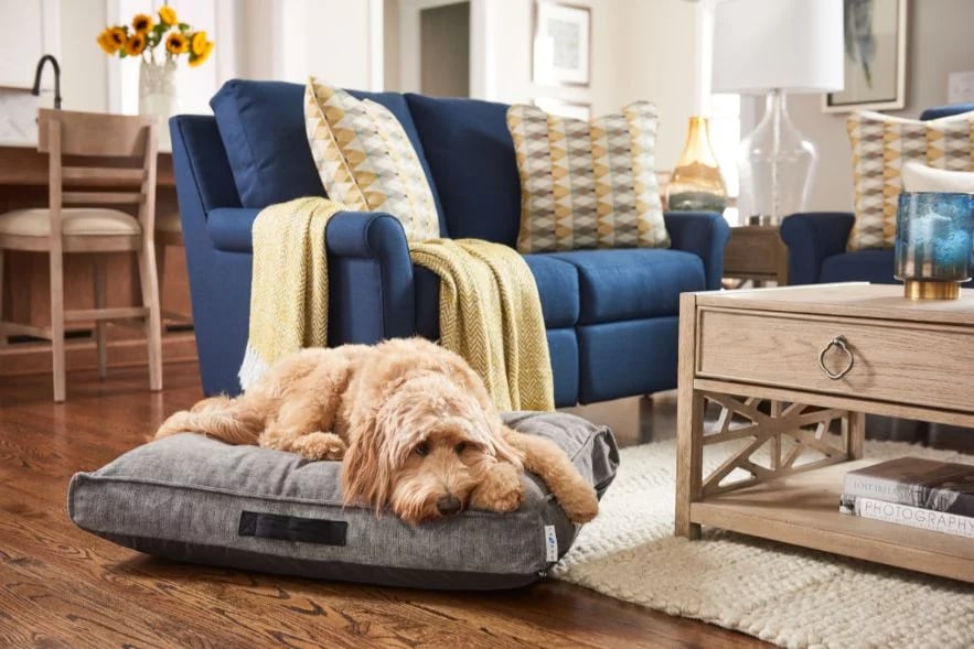 Pet Friendly Living Room Furniture