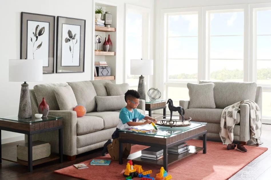 Furniture Care Tips (Leather, Fabric, Wood, & Rugs)