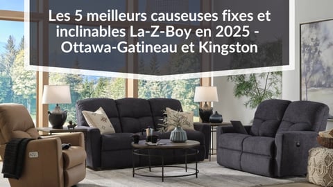 Les 5 meilleurs fauteuils fixes et inclinables La-Z-Boy en 2024 - Est d'Ontario et Ouest du Québec