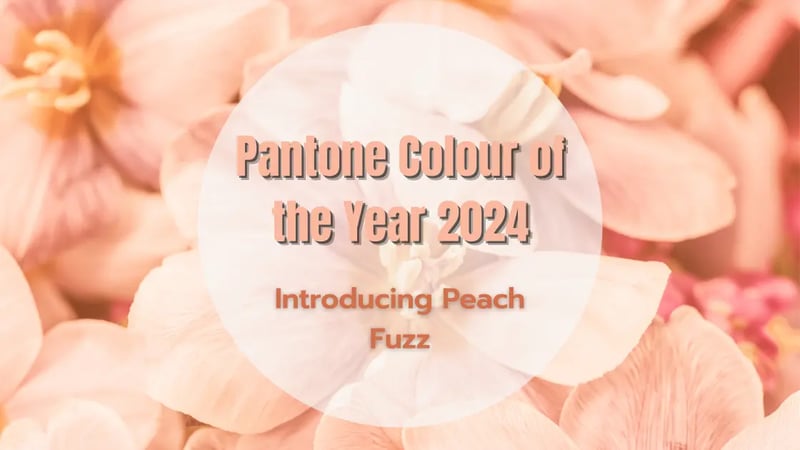 Pantone Colour of the Year for 2024