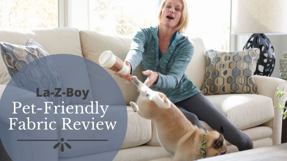 Review Of La Z Boy S Pet Friendly Fabric, What Type Of Sofa Material Is Best For Dogs