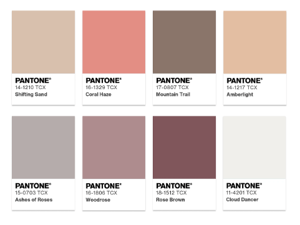 Screenshot 2026-01-06 153908