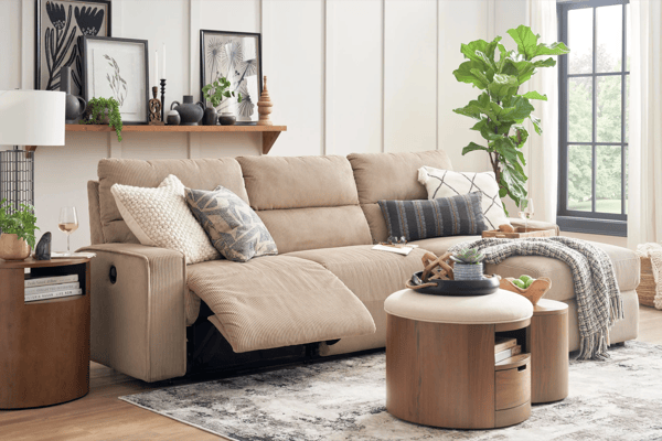 Modern Organic Living Room