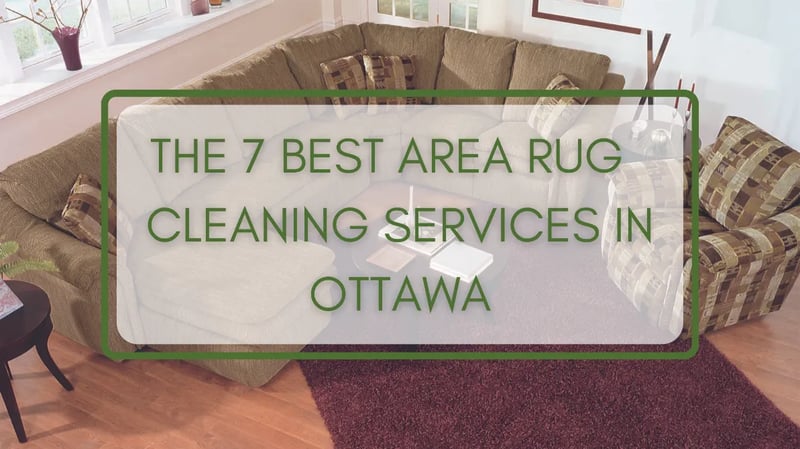The 7 Best Area Rug Cleaning Services in Ottawa