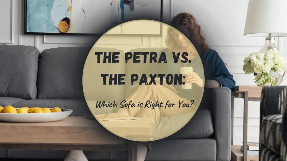 Petra v Paxton: Which Sofa is Right for You Featured Image