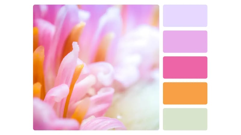 Les couleurs tendances de 2025