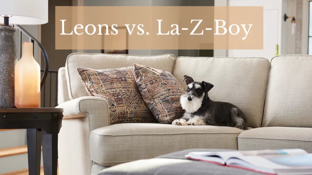 Leons vs. La-Z-Boy Furniture Retailers: Similarities & Differences
