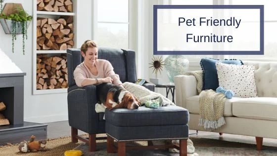 Pet Friendly Furniture: How to Pet-Proof Your Living Room