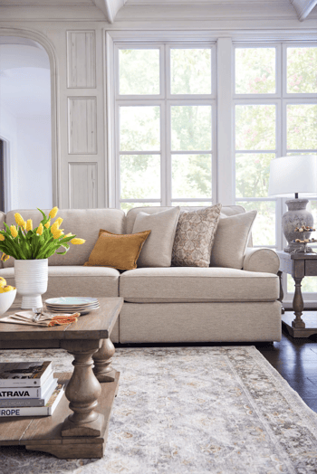 Modern Organic Living Room