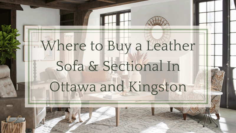 Where to Buy Leather Sofas & Sectionals in Ottawa and Kingston