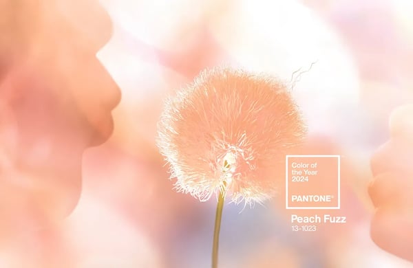 Pantone Colour of the Year 2024