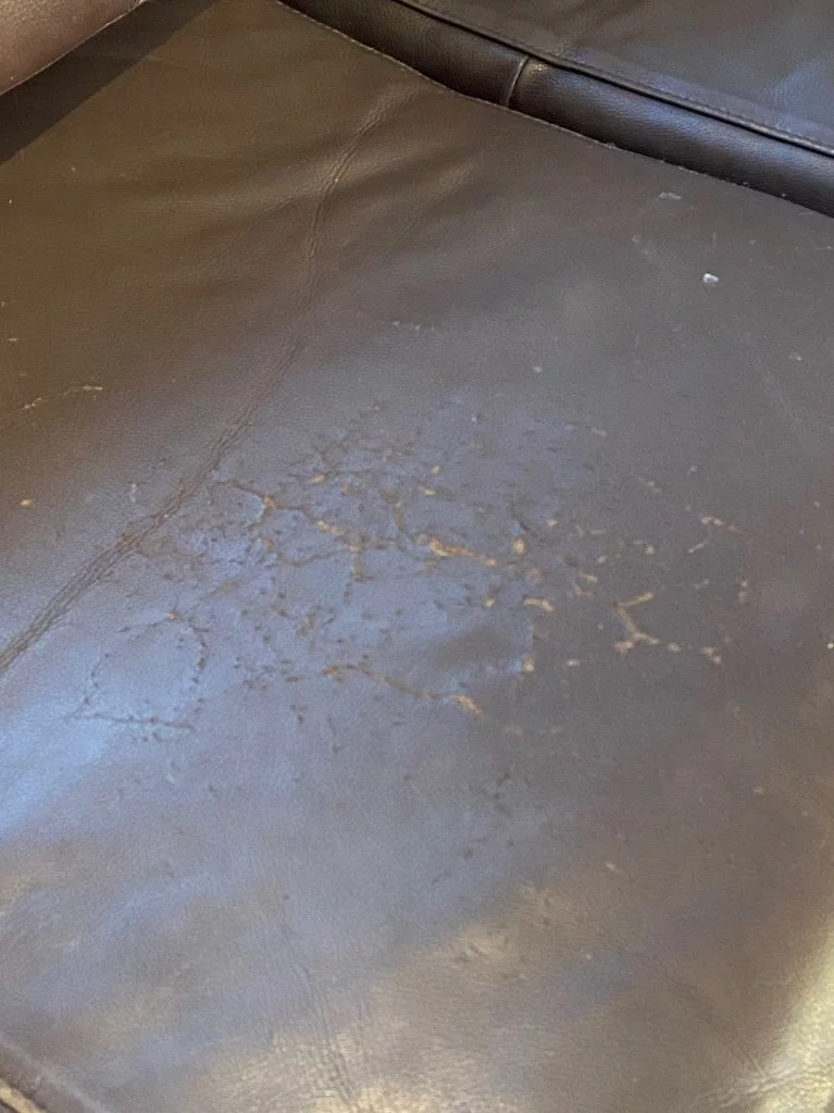 Cracking2.0 Problems with Leather