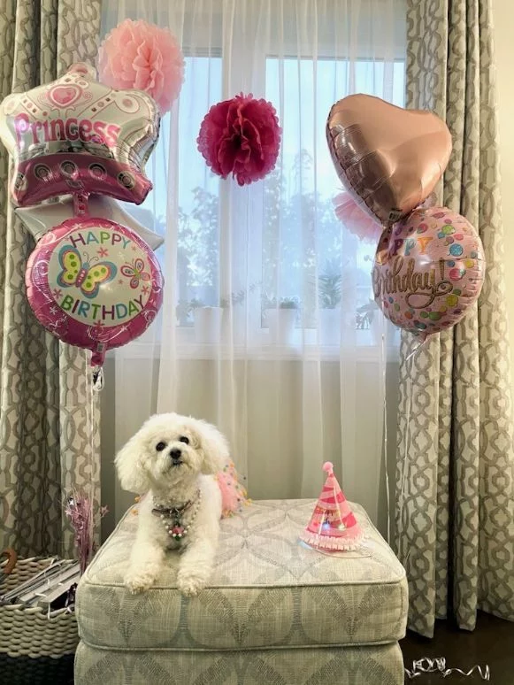 Sally 12bday1 Rockland Design Project