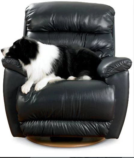 Joshua w Dog Review of the La-Z-Boy Joshua Recliner