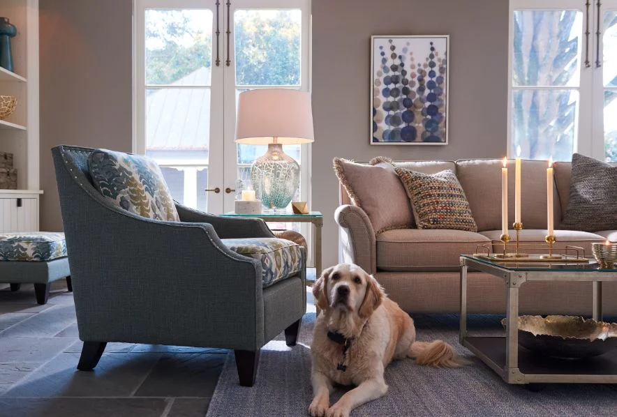 Sofa + Pet Sofa Guide