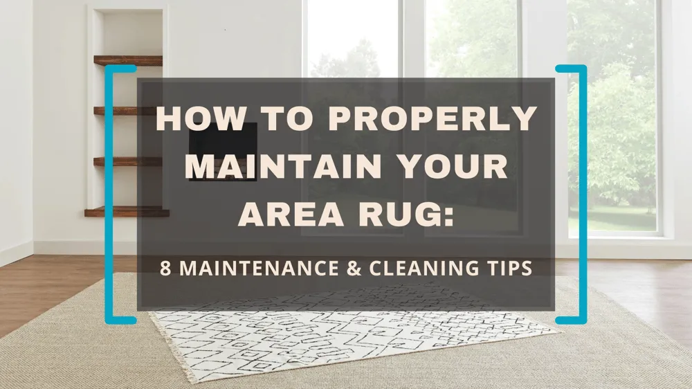 How to Properly Maintain Your Area Rug: 8 Maintenance & Cleaning Tips 