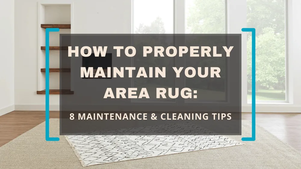 How to Properly Maintain Your Area Rug: 8 Maintenance & Cleaning Tips