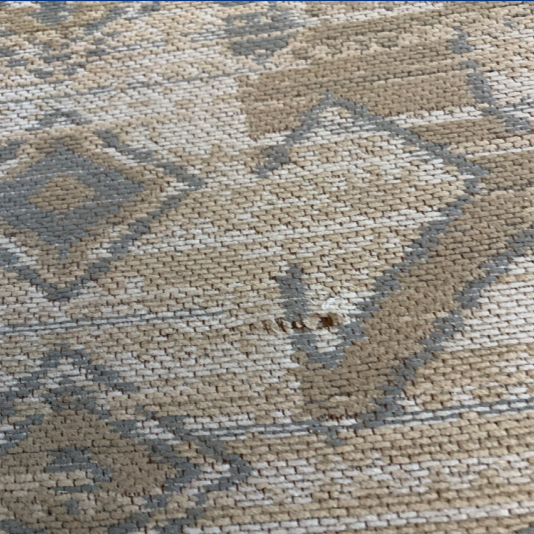 SURYA AREA RUG